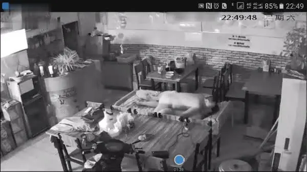 网络摄像头监控偷拍小饭店打佯后老板和媳妇在店里操逼用力过猛把小床弄塌了在餐台上搞