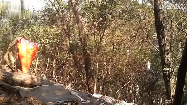 夹个老板包的厂长和经理嘉奖表现很好的手下员工树林里嫖野妓憨厚的大哥干俩领导观战貌似都很熟了