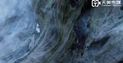 天美完整版视频TM0106 淫狐双飞-对外