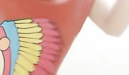 很久没冒泡的萝莉美眉柠檬夜晚出击勾搭两个学生模样小哥开房可惜眼镜哥被电话提前叫走了