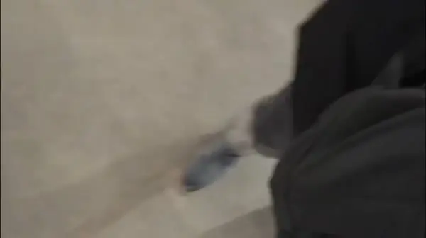 被调教服服帖帖的小骚货车内激情毒龙口活按着脑袋把嘴当逼洞快速猛插穿上遥控自慰内裤逛商场