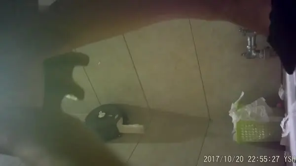 厕所偷拍 云上会所酒吧合集 177