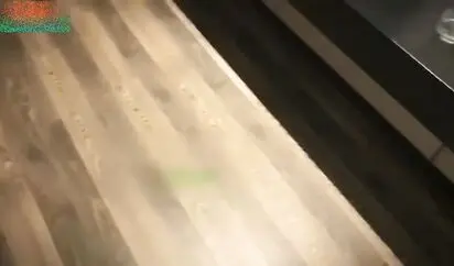 刚上的大二巨乳萌娘的调教 狐狸尾巴肛塞紧身束缚衣拽着狗链猛操不停呻吟