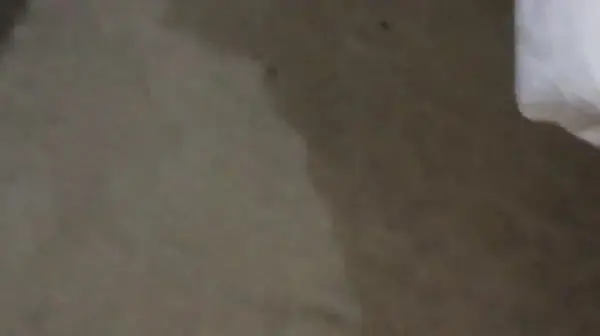 淫荡的玉儿系列8角色扮演1