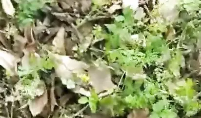 精品户外直播大美女糖糖勾引眼镜大叔到公园小树林野战矿泉水洗鸡巴口爆劈腿啪啪