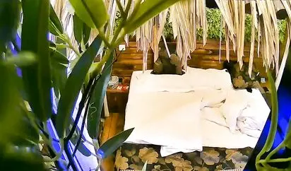 精品小旅馆绿叶房偷拍中年男女开房女的貌似很饥渴搞完没多久又骑上来