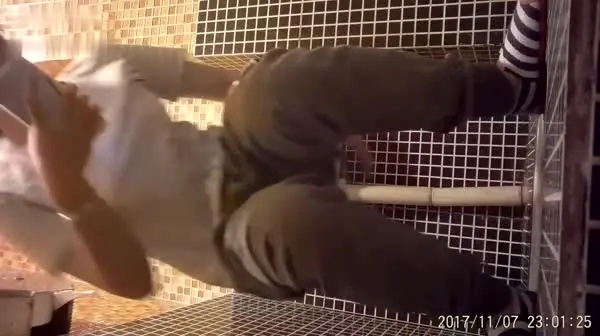 厕所偷拍 云上会所酒吧合集 84