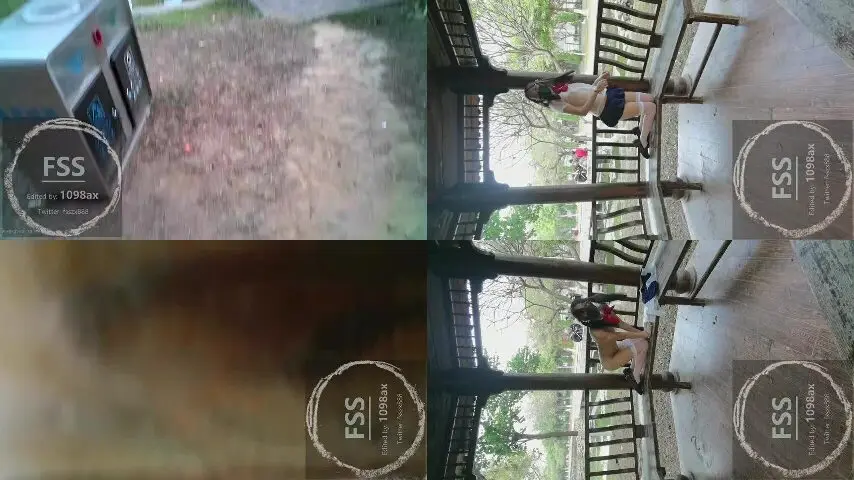 推特网红 冯珊珊 户外露出福利 34.穿着透明JK去公园搭讪5个小哥哥